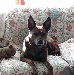 Meet your Posher, Andrea